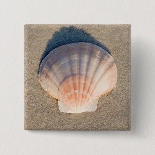 SeeMuschel, die auf Sandy-Strand legt Button
