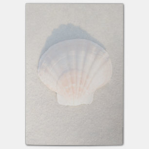 SeeMuschel, die auf Sandy-Strand legt Post-it Klebezettel