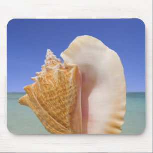 SeeMuschel-nahes hohes Mousepad