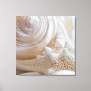 SeeMuschel-u. -Starfish-Hintergrund - Leinwanddruck