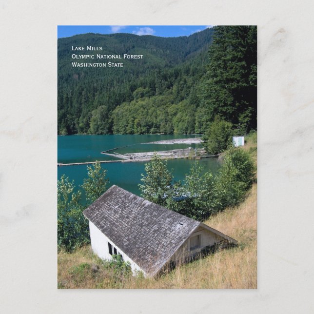 Seen, Olympischer Wald Postkarte (Vorderseite)