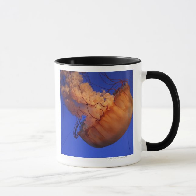 Seenesselquallen Tasse (Rechts)