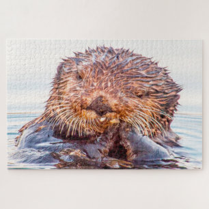 Seeotter