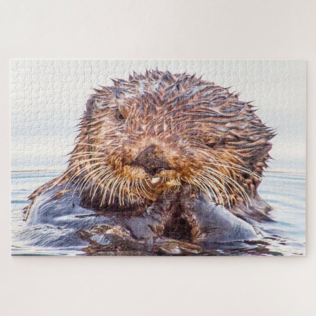 Seeotter (Horizontal)