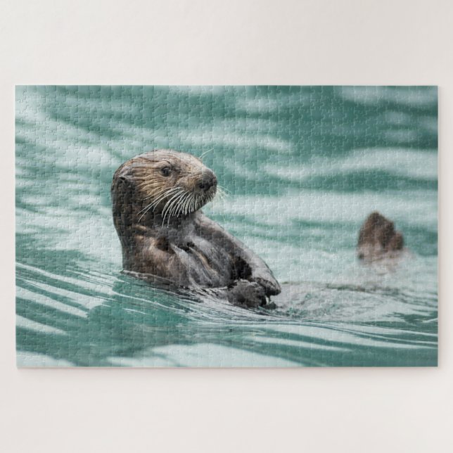 Seeotter (Horizontal)