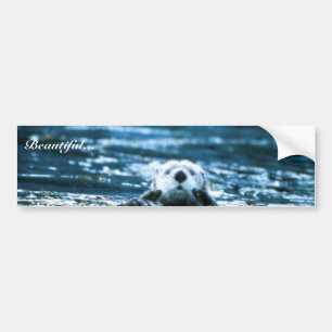 Seeotter Autoaufkleber
