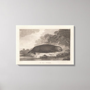 Seeotter, Britisch-Columbia Leinwanddruck