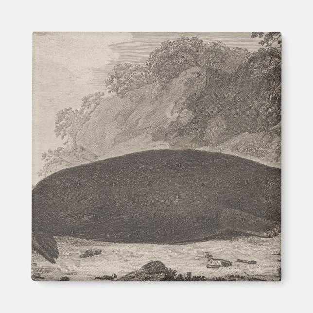 Seeotter, British Columbia Magnet (Vorne)