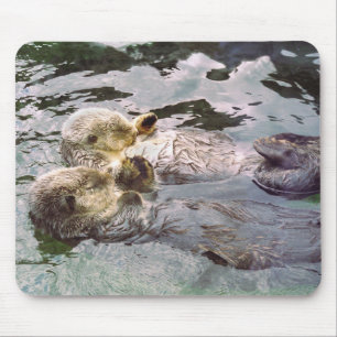 Seeotter, die Hände halten Mousepad