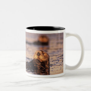 Seeotter, Enhydra lutris 3 Zweifarbige Tasse