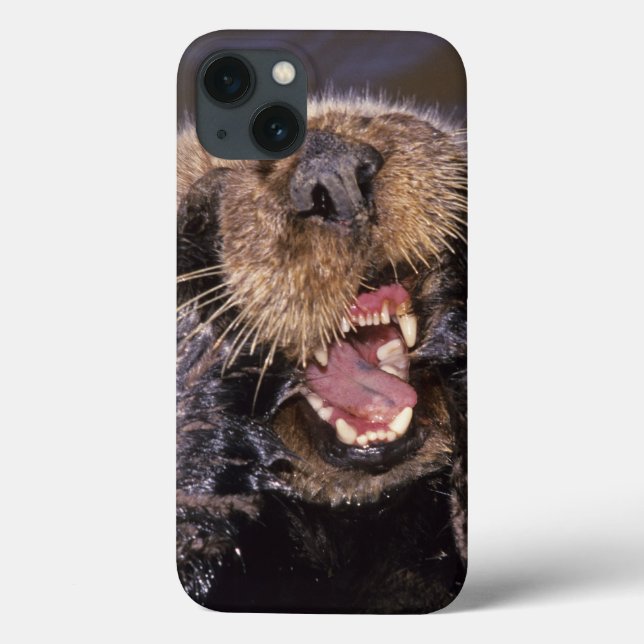 Seeotter, Enhydra lutris 6 Case-Mate iPhone Hülle (Rückseite)