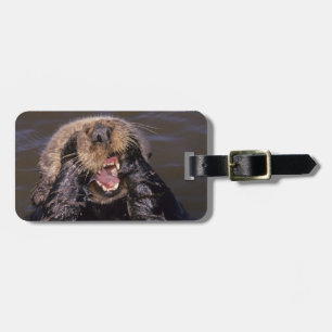 Seeotter, Enhydra lutris 6 Gepäckanhänger