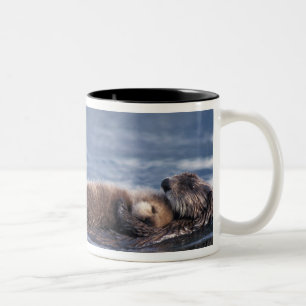 Seeotter, Enhydra lutris lutris Zweifarbige Tasse