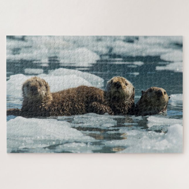 Seeotter-Familie (Horizontal)