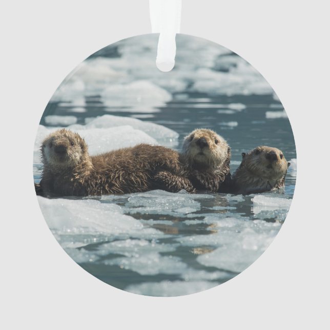 Seeotter-Familie Ornament (Rückseite)