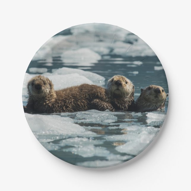 Seeotter-Familie Pappteller (Vorderseite)