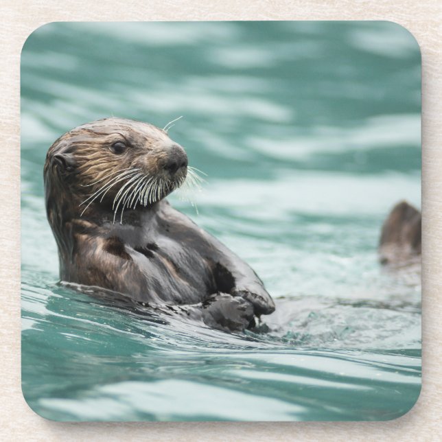 Seeotter Getränkeuntersetzer (Vorderseite)