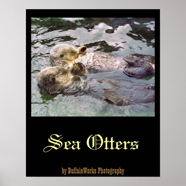 Seeotter halten Händchen Poster (Vorne)