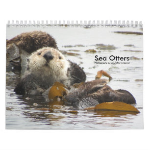 Seeotter-Kanal-Kalender #3 Kalender