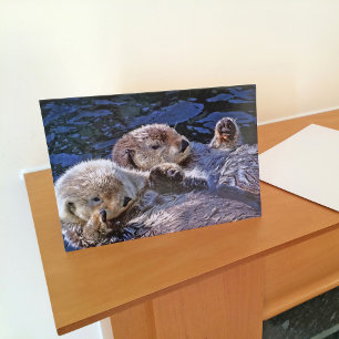 Seeotter Karte
