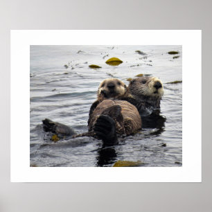 Seeotter-Mutter und Jungtier Poster