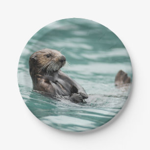 Seeotter Pappteller