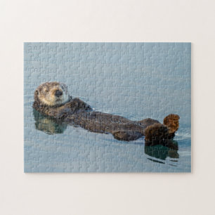 Seeotter schwimmt auf dem Rücken im Ozean