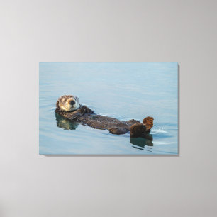 Seeotter schwimmt auf dem Rücken im Ozean Leinwanddruck