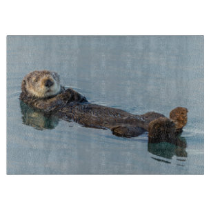 Seeotter schwimmt auf dem Rücken im Ozean Schneidebrett