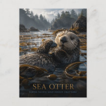 Seeotter-Seetangwald TIERE