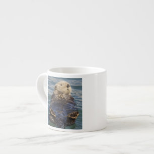 Seeotter spielen auf Eisbergen am Surprise Inlet Espressotasse
