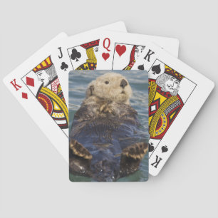 Seeotter spielen auf Eisbergen am Surprise Inlet Spielkarten