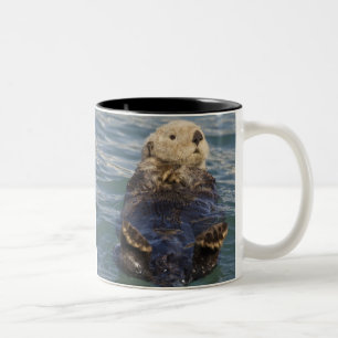 Seeotter spielen auf Eisbergen am Surprise Inlet Zweifarbige Tasse
