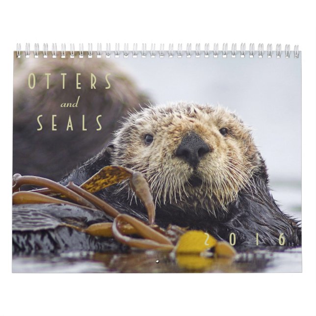 Seeotter und Wandkalender des Siegel-2016 - wild (Titelbild)