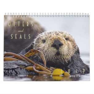 Seeotter und Wandkalender des Siegel-2017 - wild