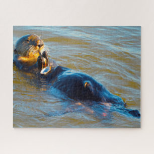 Seeotter unserer Meere