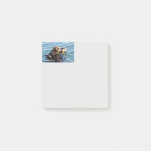Seeottermutter und -welpe mit Kelp Post-it Klebezettel