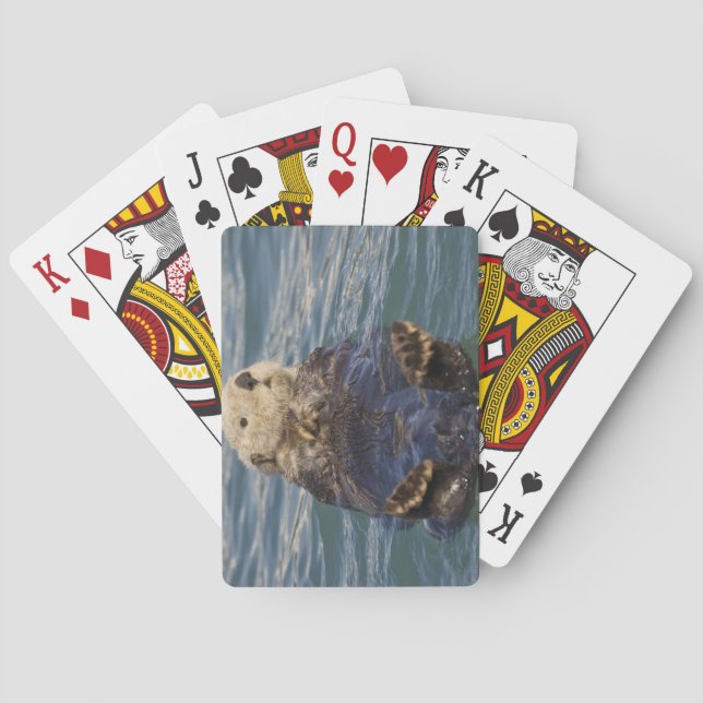 Seeotterspiel auf Eisbergen am Spielkarten (Rückseite)