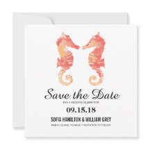 Seepferd an der Küste | SAVE THE DATE