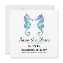 Seepferd an der Küste | SAVE THE DATE