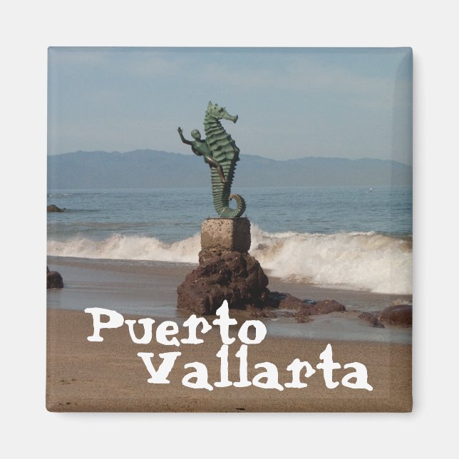 Seepferd aus Wasser; Mexiko Souvenir Magnet (Vorne)