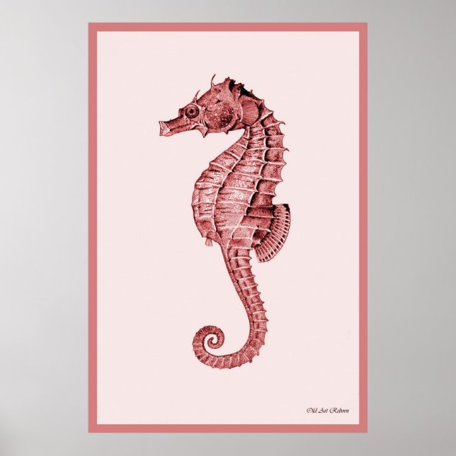 Seepferd in rosa poster (Vorne)