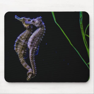 Seepferd Mousepad