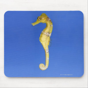 Seepferd Mousepad