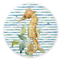 Seepferd, STRAND, KÜSTE