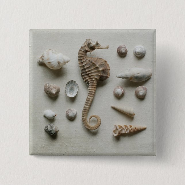 Seepferd und Muscheln Button (Vorderseite)