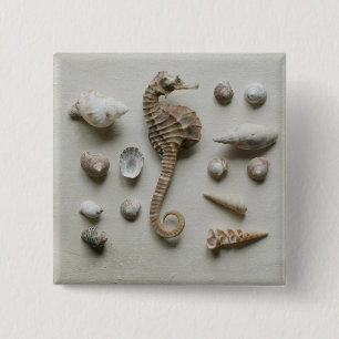 Seepferd und Muscheln Button