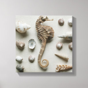 Seepferd und Muscheln Leinwanddruck