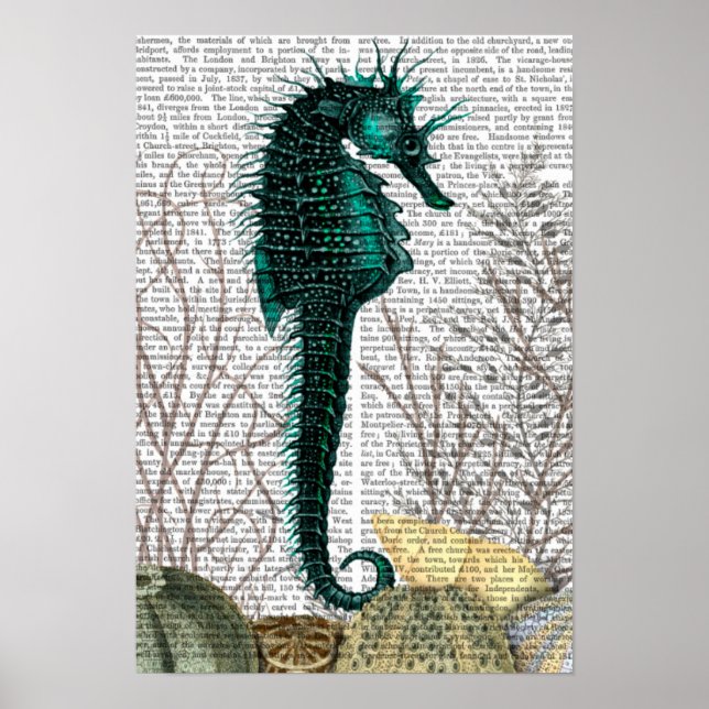 Seepferd und Sea Urchins Poster (Vorne)