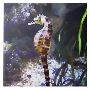 Seepferdchen im Aquarium Fliese